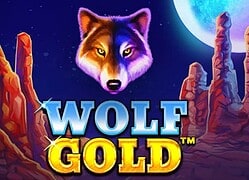 Wolf G Fairspin Casino Game  Fairspin Casino Online
