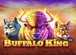 Buffalo King Fairspin Casino Slot  Fairspin Casino Online