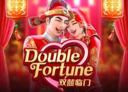 Vibrant Double Fortune Fairspin Casino Game  Fairspin Casino Online