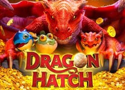 Dragon Hatch Fairspin Casino Game  Fairspin Casino Online