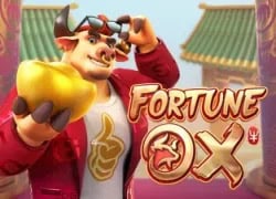 Fortune Ox Fairspin Casino Game  Fairspin Casino Online