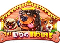 Dog House Fairspin Casino Game  Fairspin Casino Online